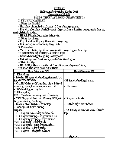 Kế hoạch bài dạy Tự nhiên & Xã hội 2 - Tuần 17 - Năm học 2024-2025 - Nguyễn Thị Minh Tâm