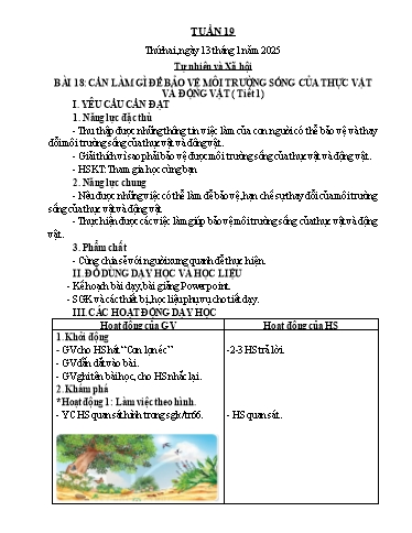 Kế hoạch bài dạy Tự nhiên & Xã hội 2 - Tuần 19 - Năm học 2024-2025 - Nguyễn Thị Minh Tâm